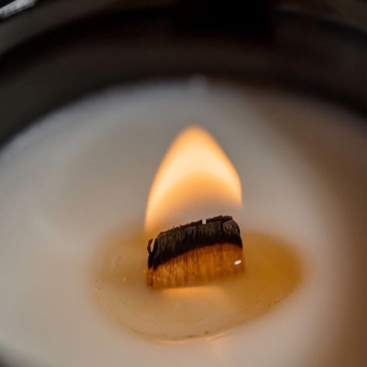 TOBACCO CARAMEL SOY WAX CANDLE 8.OZ