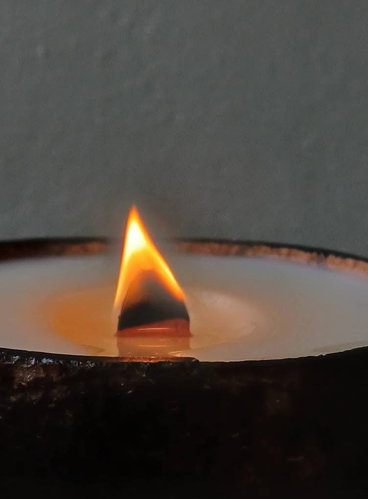 TOBACCO CARAMEL COCONUT SHELL CANDLE